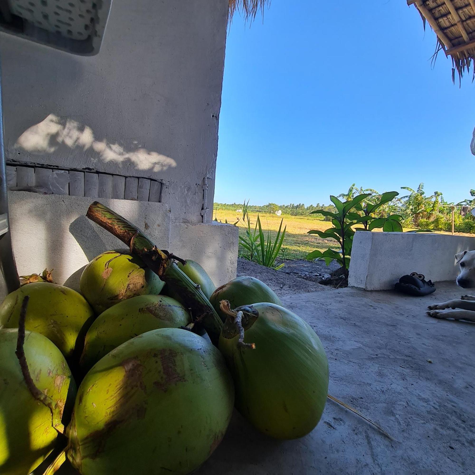 Hotel Casa Juan Farm Candelaria  Zewnętrze zdjęcie